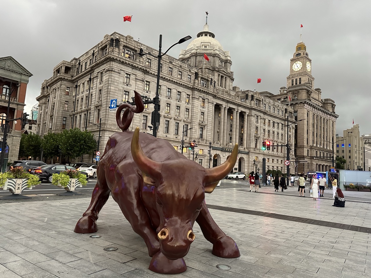 bull